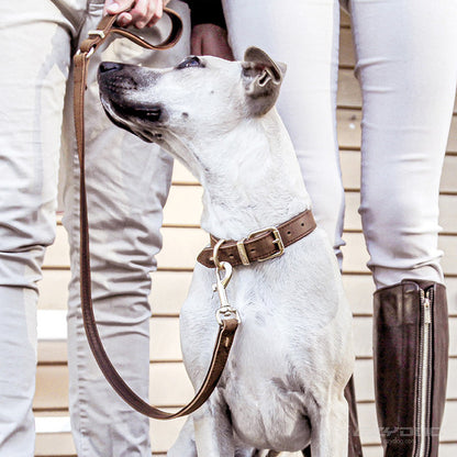 EzyDog Classic Leash Oxford Leather Brown