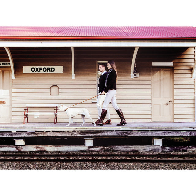 EzyDog Classic Leash Oxford Leather Brown