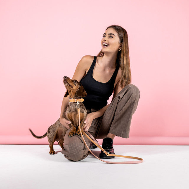 EzyDog Classic LITE Leash Oxford Leather Brown