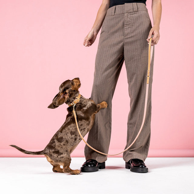 EzyDog Classic LITE Leash Oxford Leather Brown