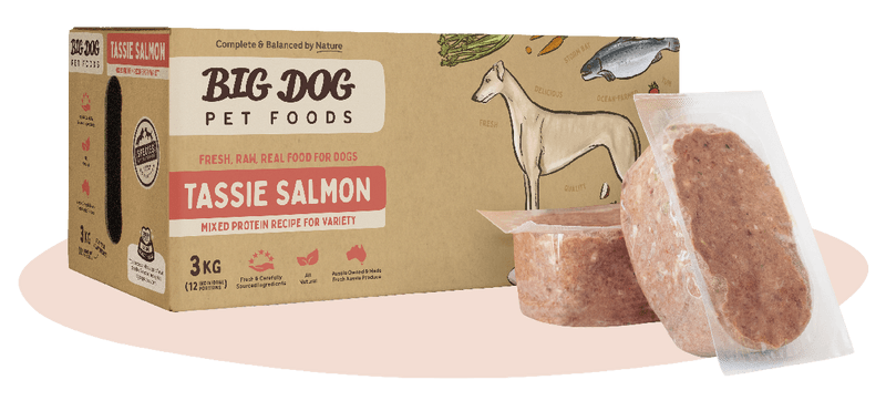 Big Dog Tasmanian Salmon Raw Dog Food (12x250g/3kg)