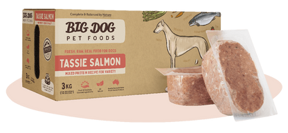 Big Dog Tasmanian Salmon Raw Dog Food (12x250g/3kg)