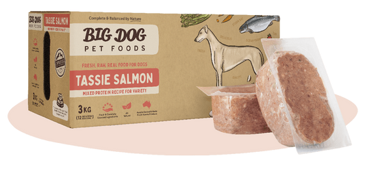 Big Dog Tasmanian Salmon Raw Dog Food (12x250g/3kg)