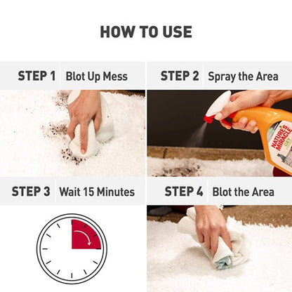 Nature's Miracle Set-In Stain Destroyer for Cats