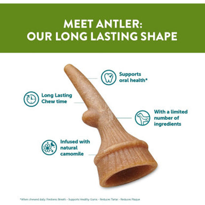 Whimzees Occupy Antler Large