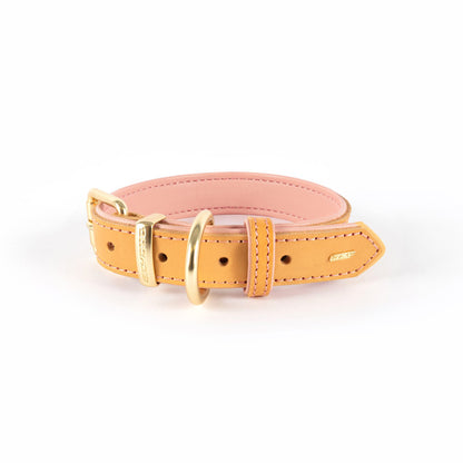 EzyDog Classic Collar Oxford Leather Blush