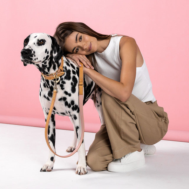 EzyDog Classic Collar Oxford Leather Blush