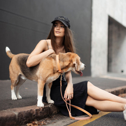 EzyDog Classic Collar Oxford Leather Blush