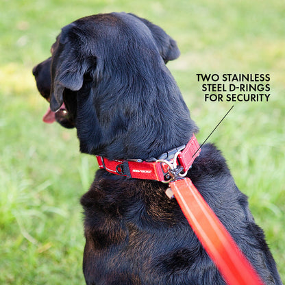 EzyDog Double Up Collar Green Camo