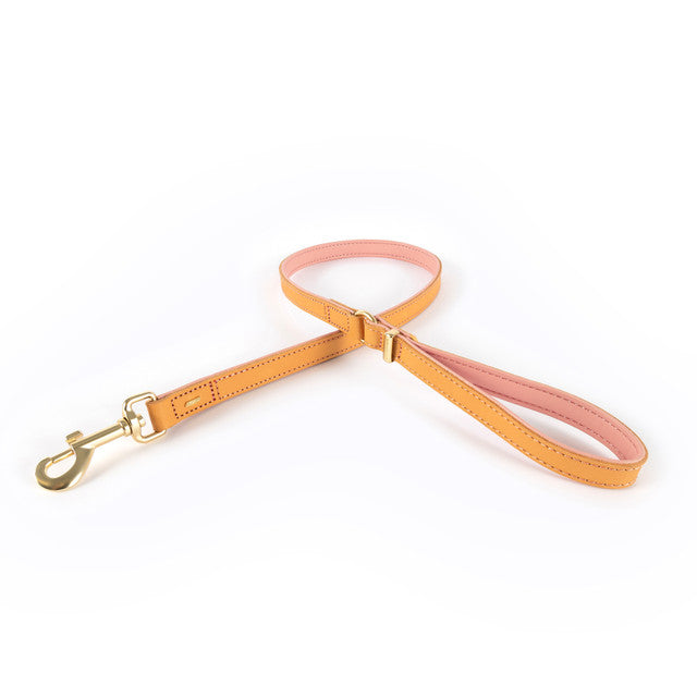 EzyDog Classic Leash Oxford Leather Blush