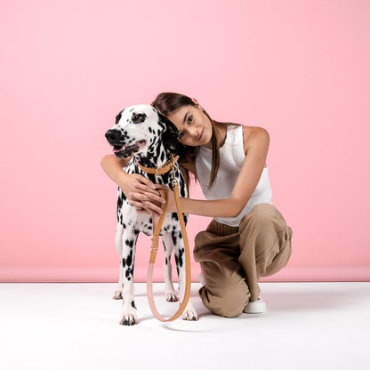 EzyDog Classic Leash Oxford Leather Blush