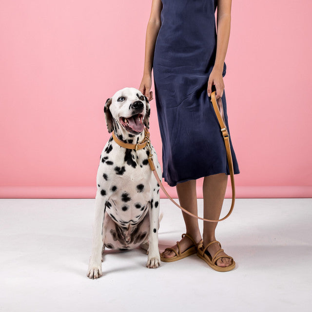 EzyDog Classic Leash Oxford Leather Blush