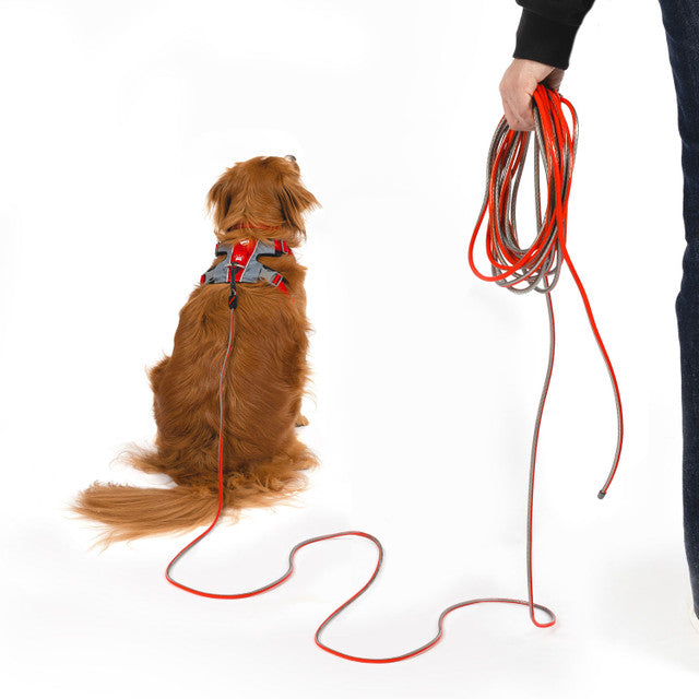 EzyDog Track N Train Slimline Leash Red