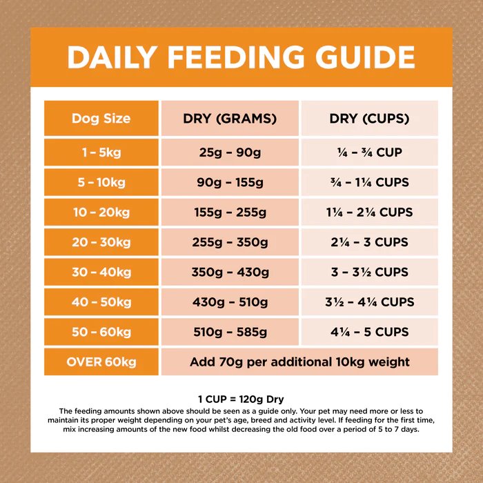 Ivory Coat Grain Free Adult All Breeds Dry Dog Food Chicken