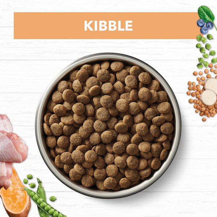 Ivory Coat Grain Free Puppy All Breeds Dry Dog Food Chicken