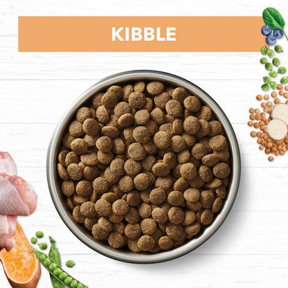 Ivory Coat Grain Free Puppy All Breeds Dry Dog Food Chicken