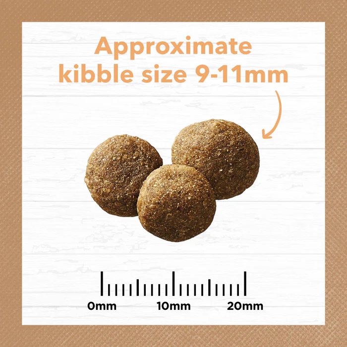 Ivory Coat Grain Free Puppy All Breeds Dry Dog Food Chicken