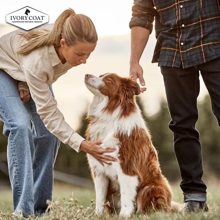 Ivory Coat Grain Free Puppy All Breeds Dry Dog Food Chicken