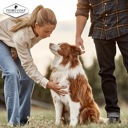 Ivory Coat Grain Free Puppy All Breeds Dry Dog Food Chicken