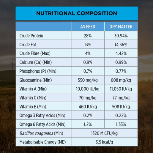 Pro Plan Adult Large Breed Chicken Dry Dog Food