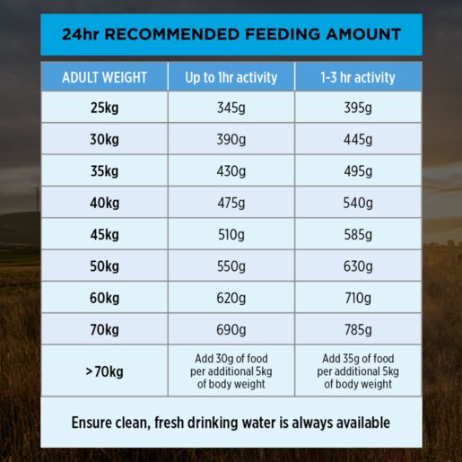 Pro Plan Adult Large Breed Chicken Dry Dog Food