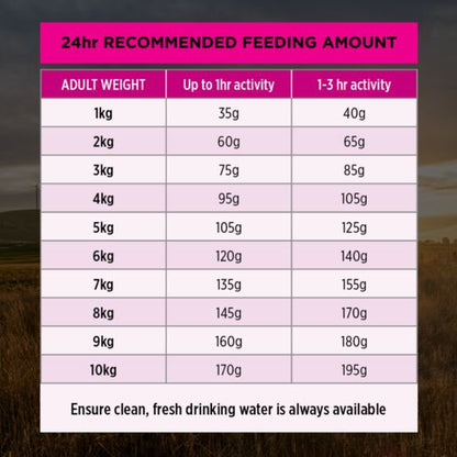 Pro Plan Adult Sensitive Skin & Stomach Small & Toy Breed Dry Dog Food