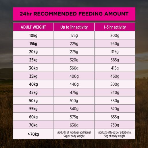Pro Plan Adult Sensitive Skin & Stomach Medium & Large Breed Dry Dog Food
