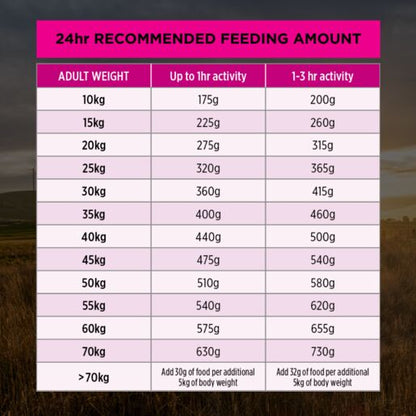 Pro Plan Adult Sensitive Skin & Stomach Medium & Large Breed Dry Dog Food