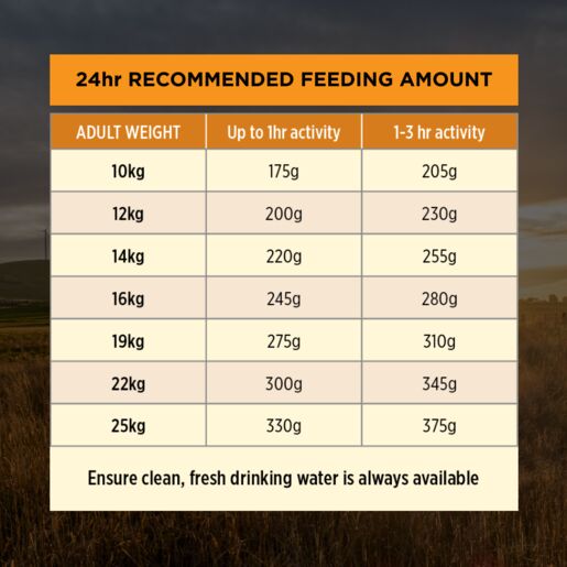 Pro Plan Adult Medium Breed Chicken Dry Dog Food