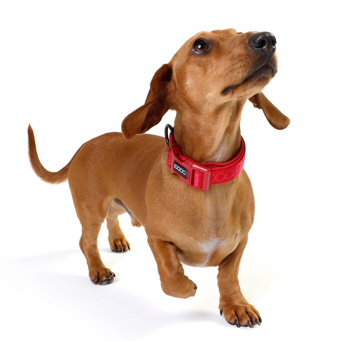DOOG Neosport Neoprene Dog Collar Red