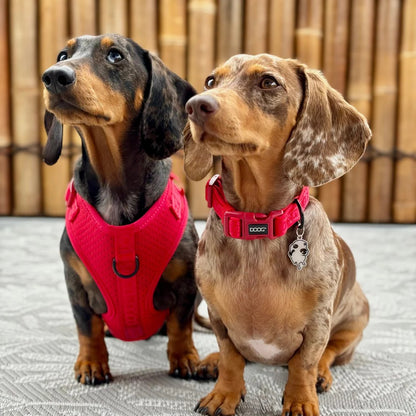 DOOG Neosport Neoprene Dog Collar Red