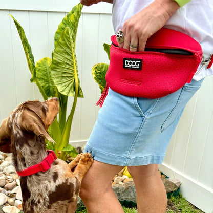 DOOG Neosport Neoprene Dog Collar Red