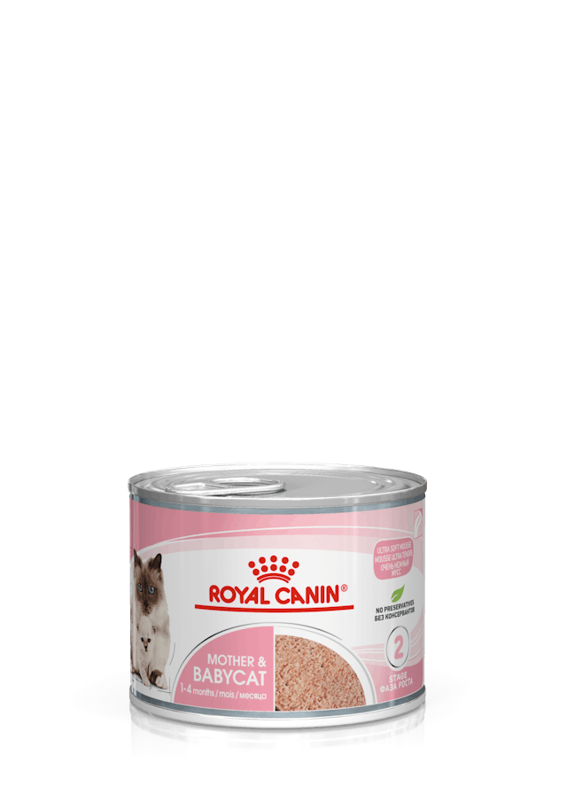 Royal Canin Mother & Babycat Wet Cat Food Cans Mousse
