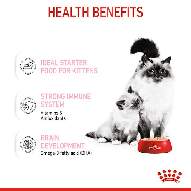 Royal Canin Mother & Babycat Wet Cat Food Cans Mousse