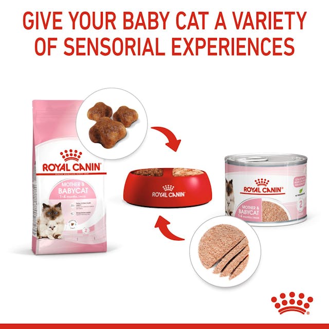 Royal Canin Mother & Babycat Wet Cat Food Cans Mousse