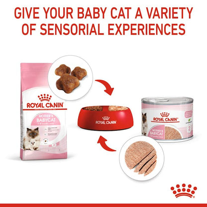 Royal Canin Mother & Babycat Wet Cat Food Cans Mousse