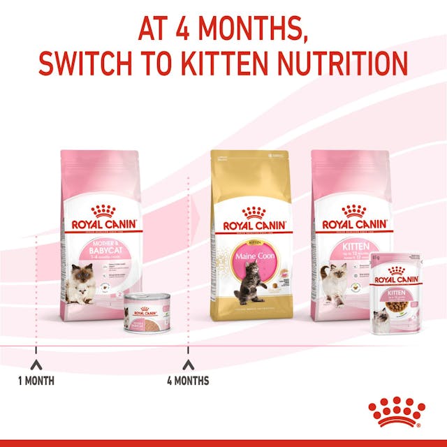 Royal Canin Mother & Babycat Wet Cat Food Cans Mousse