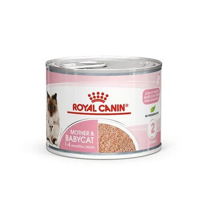 Royal Canin Mother & Babycat Wet Cat Food Cans Mousse