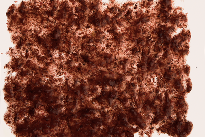 Tetra FreshDelica Brine Shrimps 48g