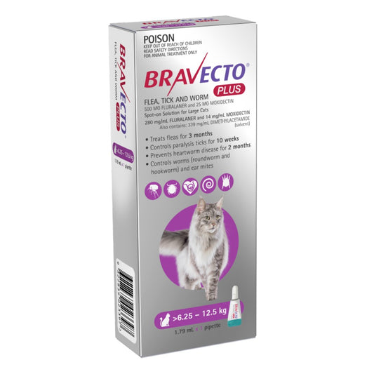Bravecto Plus For Cats Purple 6.25 - 12.5kg