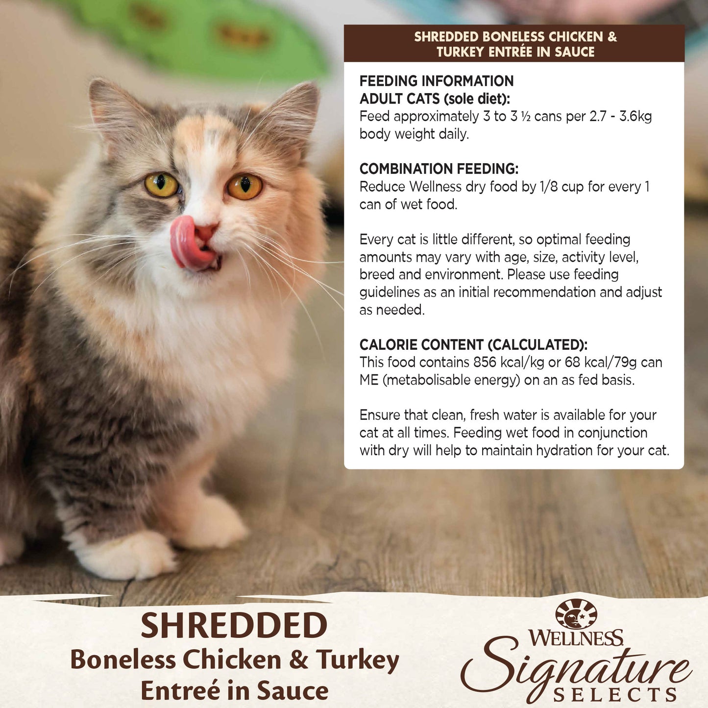 Wellness Core Signature Selects for Cats Shredded Boneless Chicken & Turkey Entree in Sauce