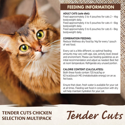 Wellness Core Tender Cuts for Cats Chicken Selection Multipack
