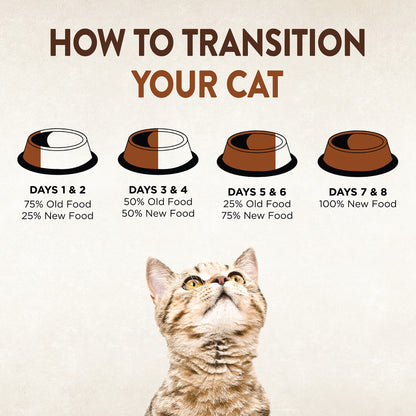 Wellness Core Tiny Tasters for Cats Smooth Pate Chicken & Turkey Recipe