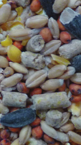 Avigrain Auntie Kates Poultry Scratch Mix 20kg (WAREHOUSE PICK UP & LOCAL DELIVERY ONLY)