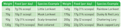 Passwell Complete Lorikeet
