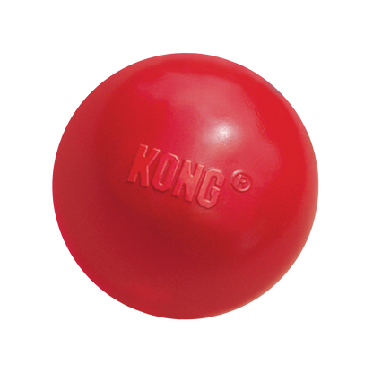 KONG Ball w/Hole