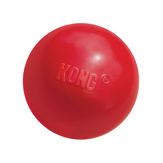 KONG Ball w/Hole