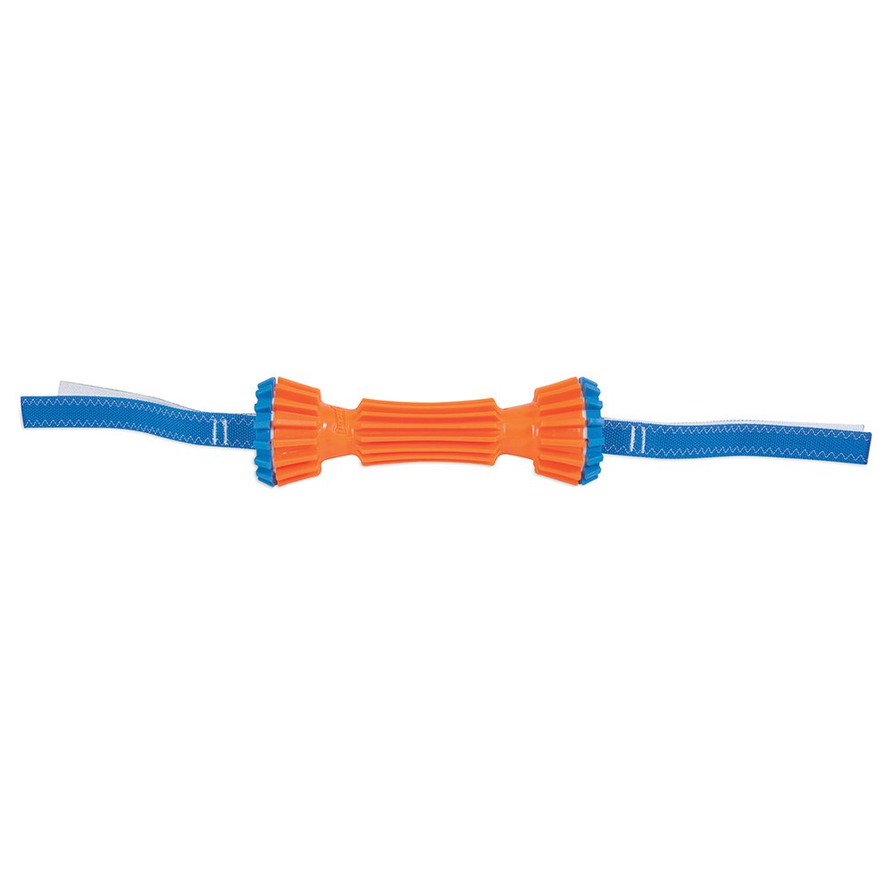Chuckit! Rugged Bumper
