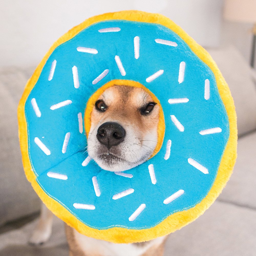 ZippyPaws Jumbo Donutz Blueberry