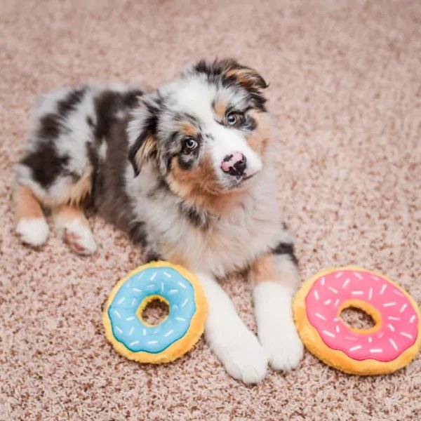 ZippyPaws Mini Donutz Blueberry
